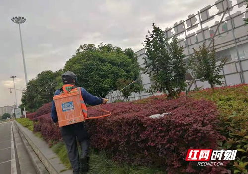 张家界市园林绿化服务中心 夏季病虫害防治进行时